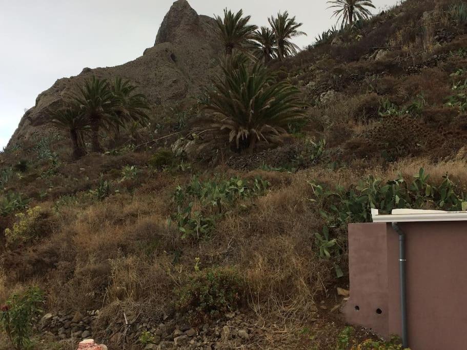 Casa-Solarium En La Naturaleza Santa Cruz de Tenerife Ngoại thất bức ảnh