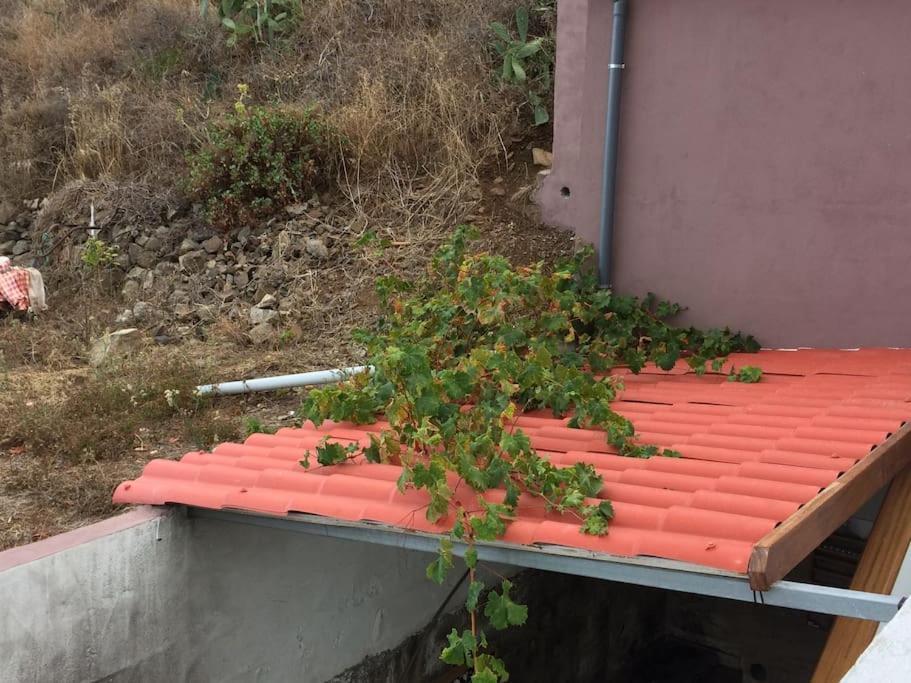 Casa-Solarium En La Naturaleza Santa Cruz de Tenerife Ngoại thất bức ảnh