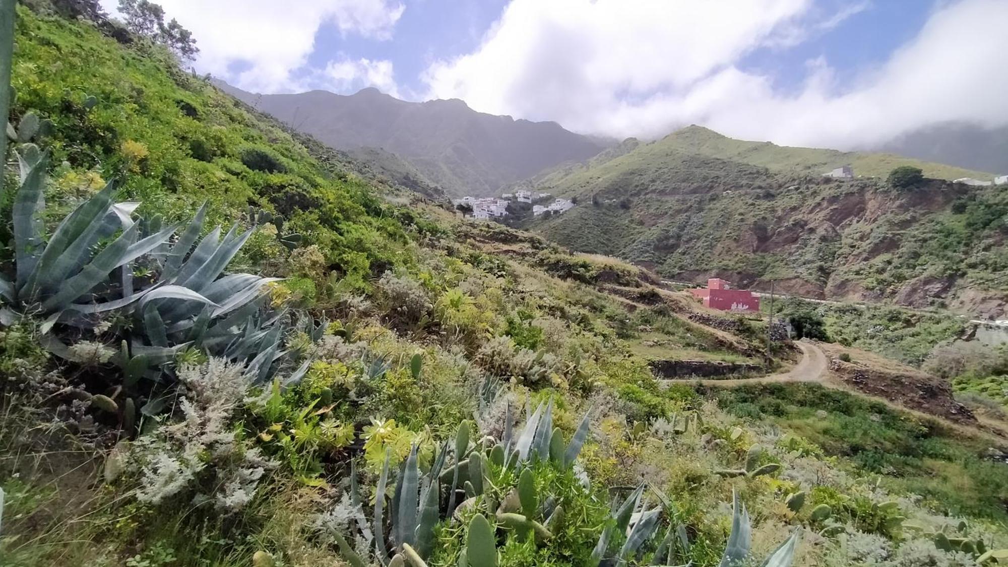 Casa-Solarium En La Naturaleza Santa Cruz de Tenerife Ngoại thất bức ảnh